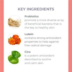 Pure Biome Balancing Eye Cream -Innisfree Store WEB DE KEYING 0499 R1222 2