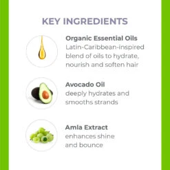 Wash Day Curl Shampoo -Innisfree Store WEB DE KEYING 6350 R0523 1